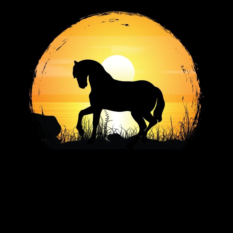 Coucher de soleil - Poney Horse