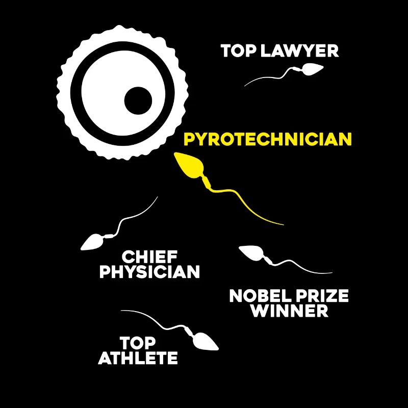 Pyrotechnician Fireworks Pyrotechnics Pyrotechnician