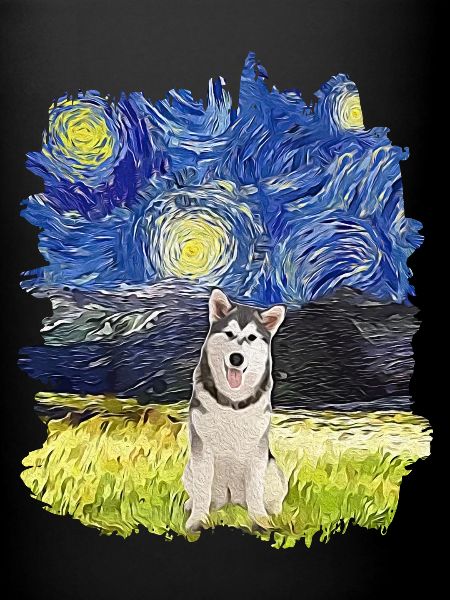 Nuit étoilée - Malamute d’Alaska