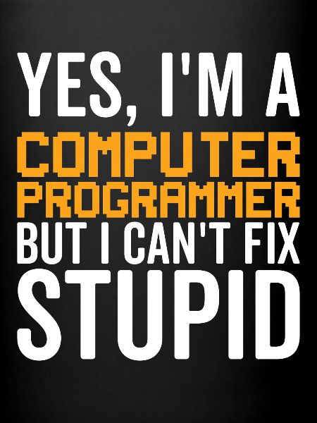Stupide - Programmeur informatique