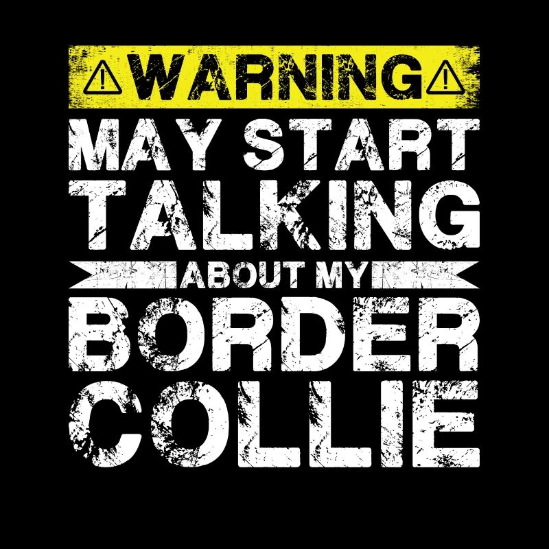 En parlant de Border Collie