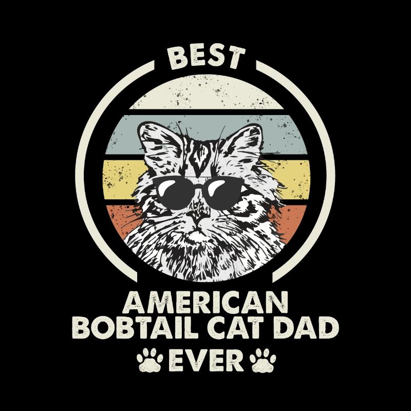 Papa chat - American Bobtail Katze