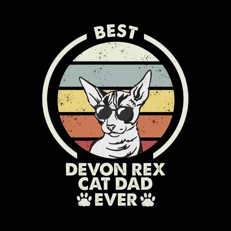 Papa chat - Devon Rex Chat