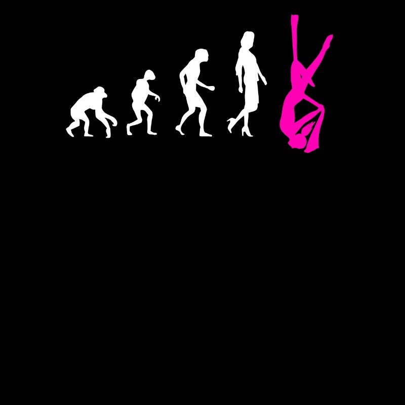 Aerial Silk Evolution - Gymnastique acrobatique