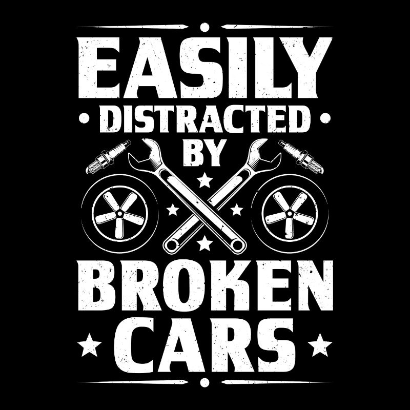 Automotive Mechatronics Engineer Car Mechanic Auto Mechanic
