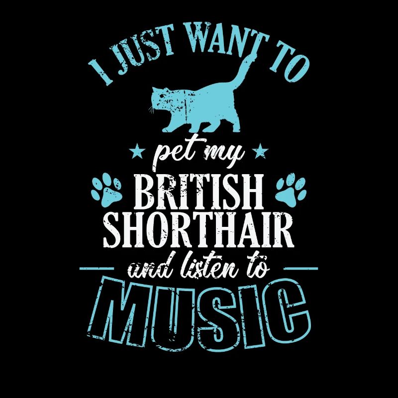 Caresser mon British Shorthair et écouter de la musique
