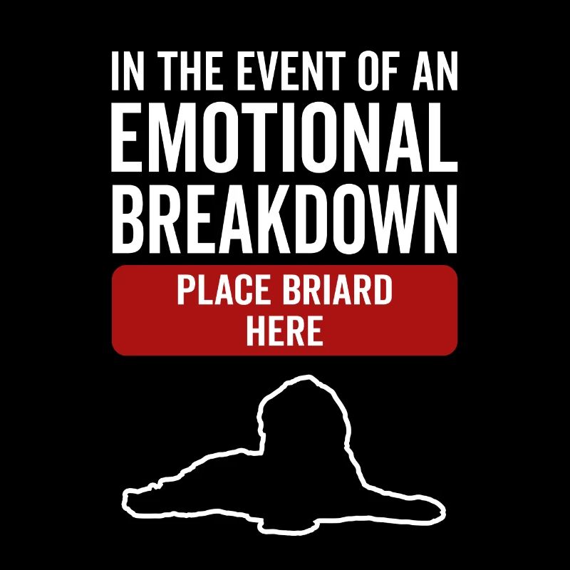 Emotional - Dog Briard
