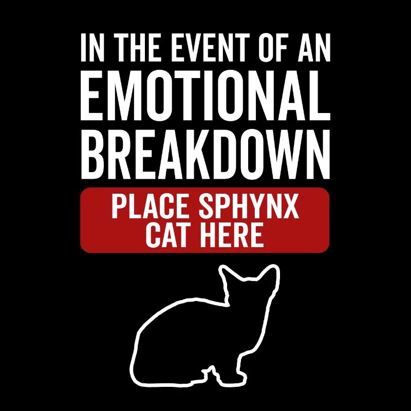 Émotionnel - Sphynx Cat
