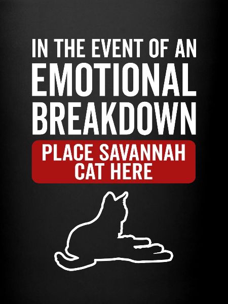 Émotionnel - Savannah Cat
