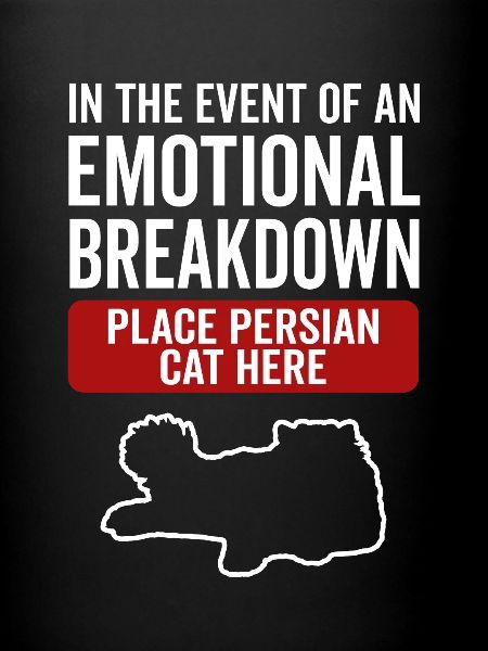 Émotionnel - Chat persan