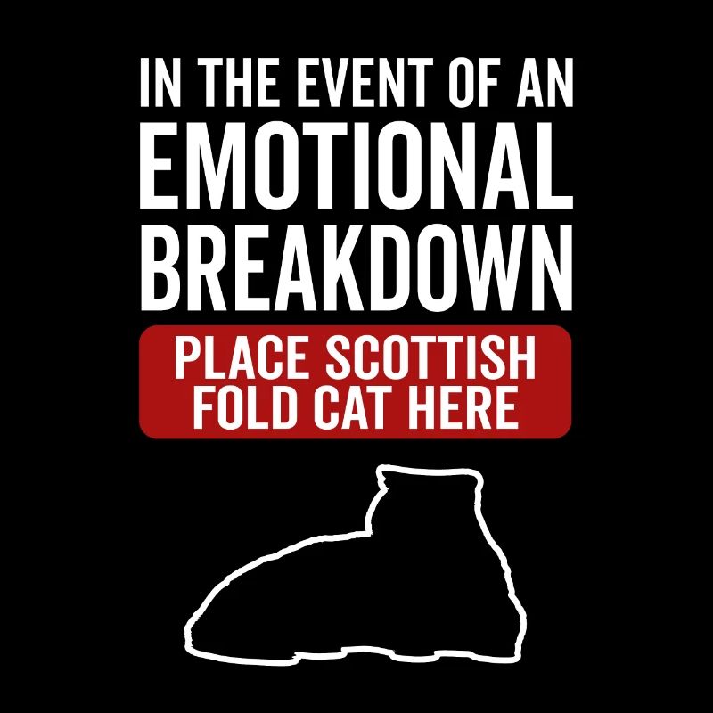 Émotionnel - Scottish Folding Cat