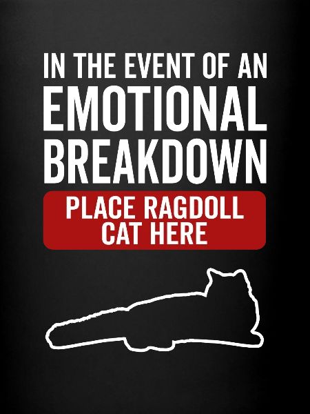 Émotionnel - Ragdoll Cat