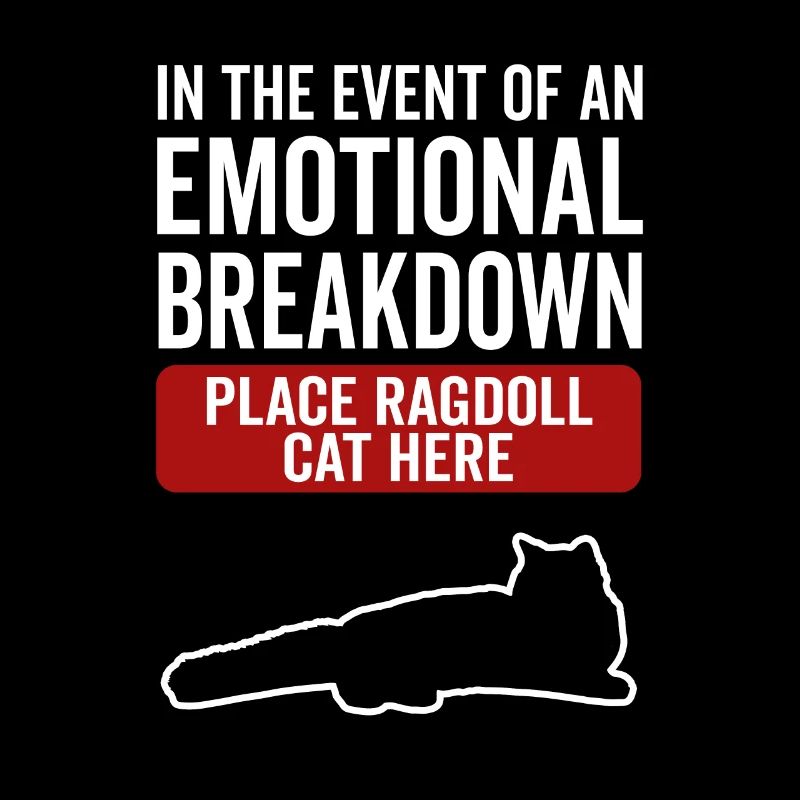 Emotional - Ragdoll Cat