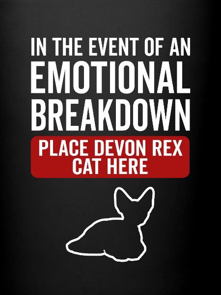 Émotionnel - Devon Rex Cat