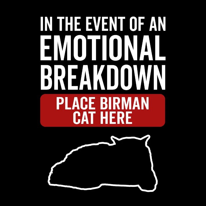 Emotional - Birman Cat