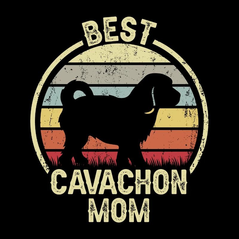 Maman chien - Cavachon