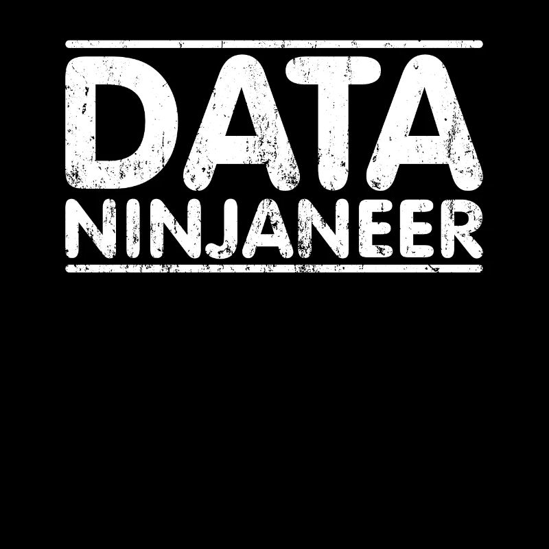 Ninjaneer - Ingénieur de données