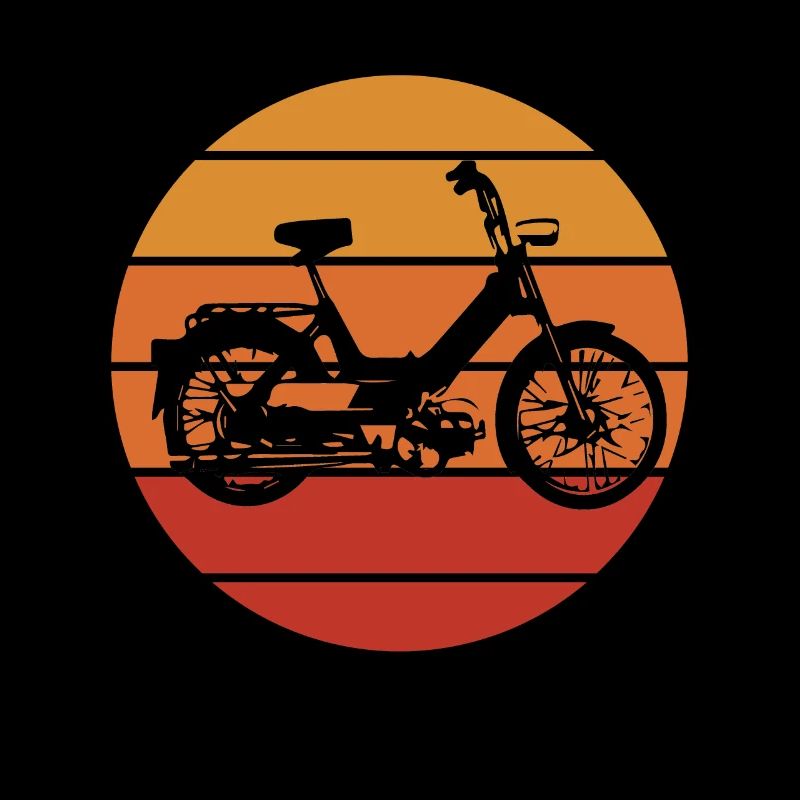 DDR Moped Oldtimer Roller Mofa Scooter 2 Takter