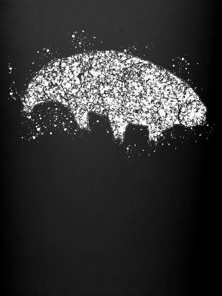 Ours d’eau Tardigrade Tardigrade