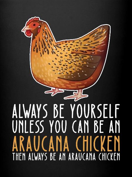 Soyez vous-même - Poulet Araucana