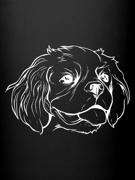 Cavalier Dog