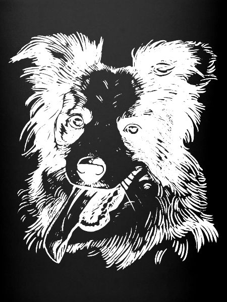 Joyeux Collie Dog