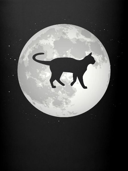 Pleine Lune - Chat -