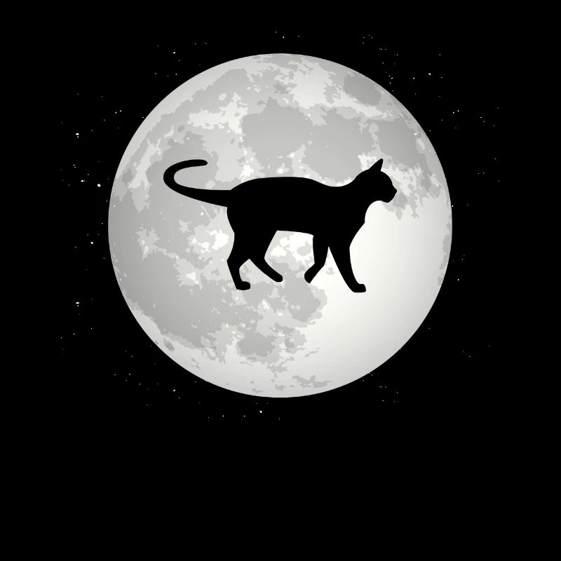 Vollmond - Katze -