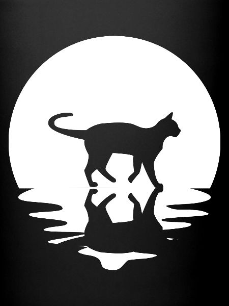 Cercle et réflexion - Chat -