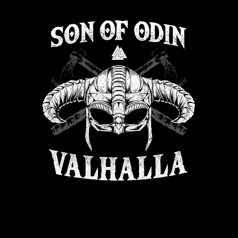 Fils d’Odin I Valhalla Viking