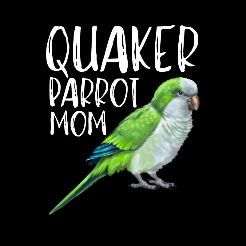 Blue Quaker Parrot Mom