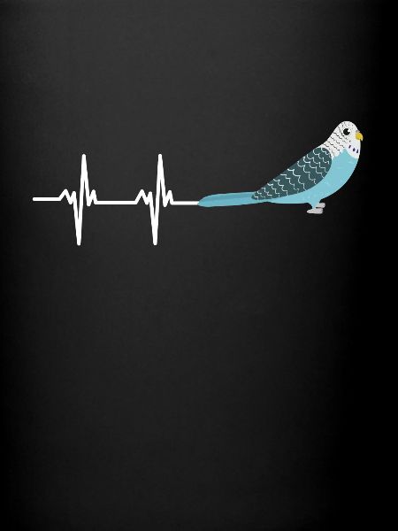 Blue Quaker Parrot Maman