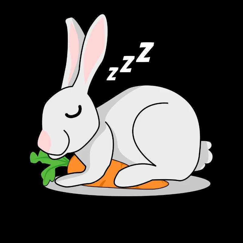 Lapin avec carotte dort lapin lapin