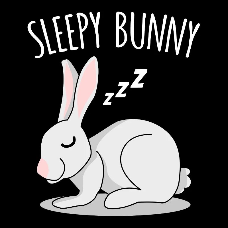 Lapin Lapin endormi