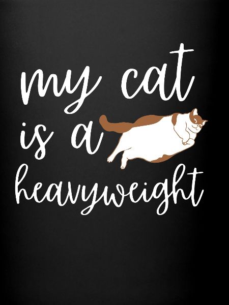 Obésité du gros chat