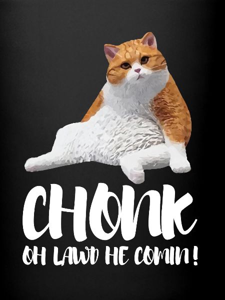 Obésité du gros chat