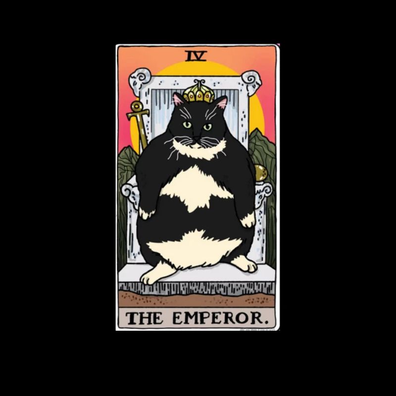 Obésité du gros chat