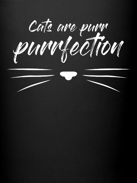Chat Purrfect