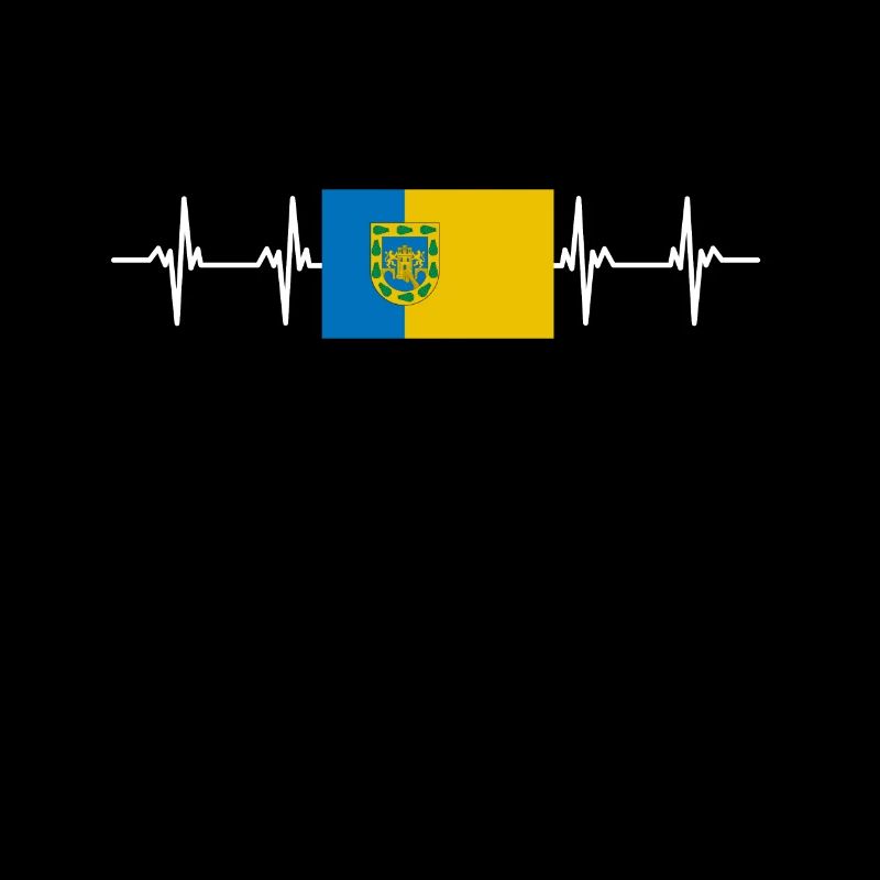 Drapeau de la ville de Ciudad de Mexico