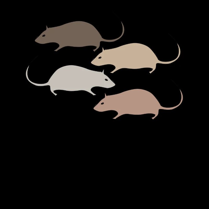 Mouse Rat Rats Mice