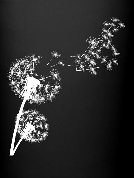 Looked in Dandelion