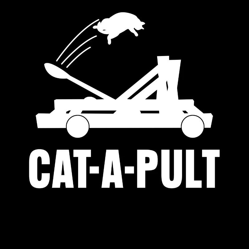 Chats Joke Cat