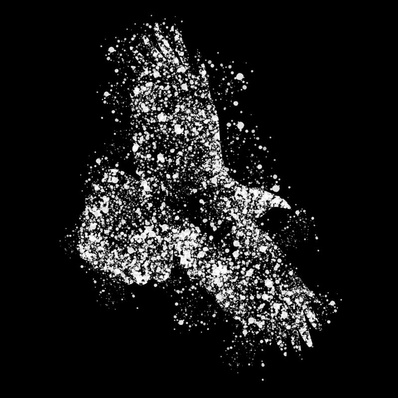 Raven Ravens Crows Crow