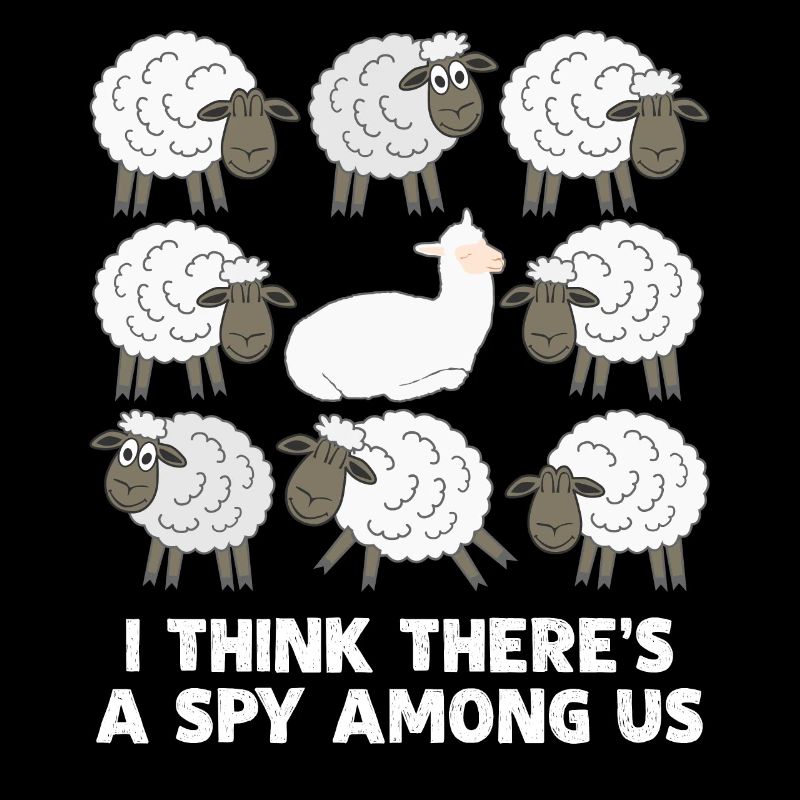 Alpaca Spy Sheep Alpacas