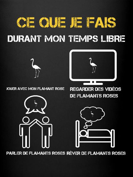 cadeaux temps libre flamand-rose