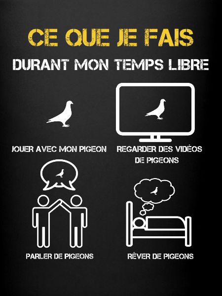 cadeaux temps libre pigeon