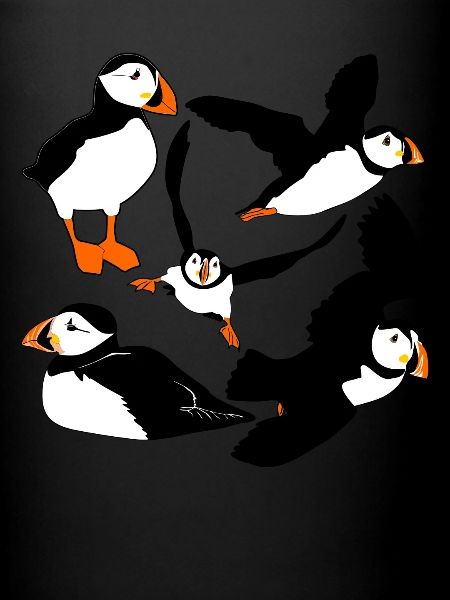 Macareux volants
