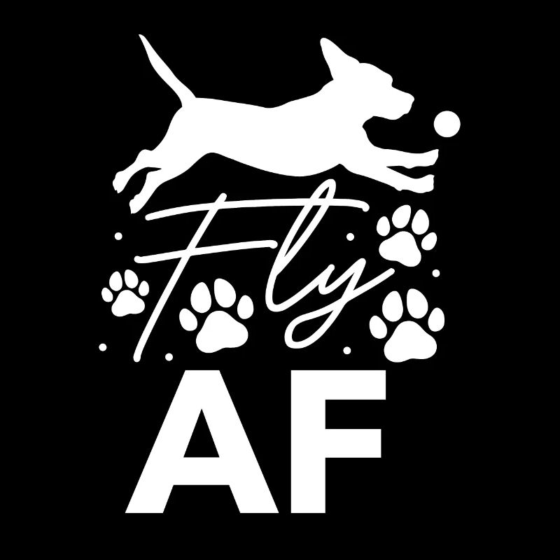 Flyball Canine Sport Agility Parcour Dog