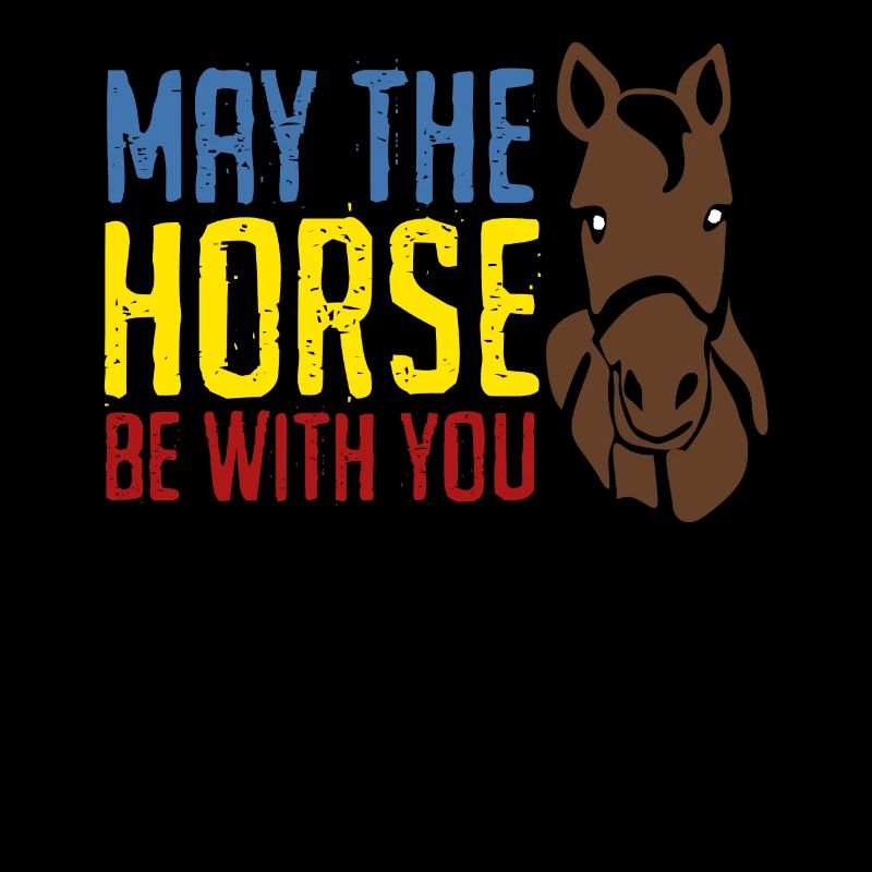 Cheval Chevaux Équitation Haflinger