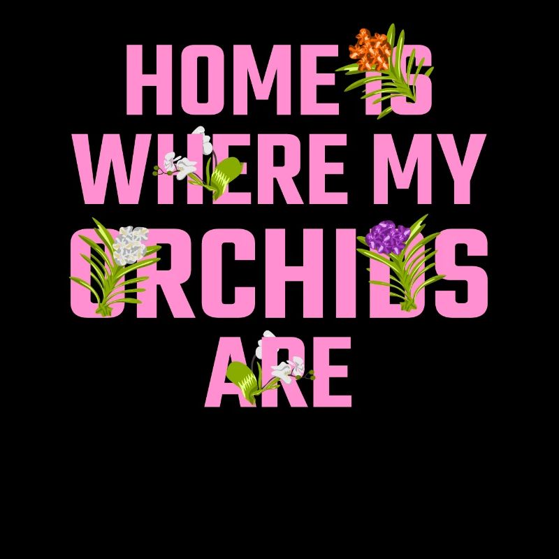 Flowers Orchid Orchids Phalaenopsis